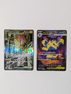 ライコウex SAR メガゴルーグex SARのサムネイル