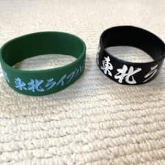 東北ライブ大作戦 細美武士 ラバーバンド - メルカリ