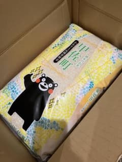 令和8年精米 『甲佐の輝き』 精米 20kg - メルカリ