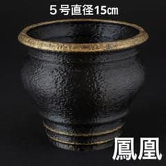 石壺〜鳳凰〜 5号直径15㎝ 3dプリンター鉢 作家鉢 アガベ - メルカリ
