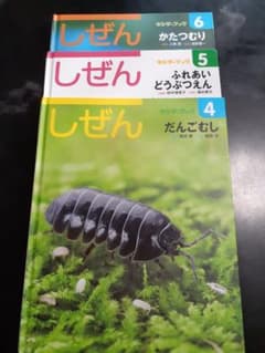 年長　しぜん　4~6　絵本　キンダーブックのサムネイル