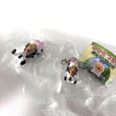 코비토 즈칸 주름 마스코트 메지루시 시보리오오치치 2 점 세트