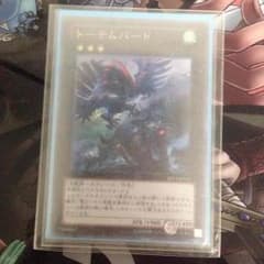 遊戯王 トーテムバードのサムネイル