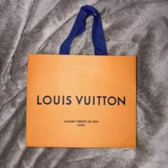 【美品】LOUIS VUITTON ショップ袋 オレンジ(大きめ)のサムネイル