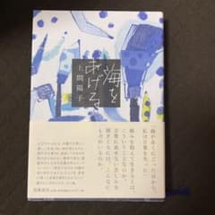 海を上げる　上間陽子のサムネイル