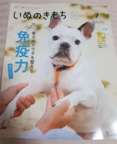 いぬのきもち 2021年7月号のサムネイル