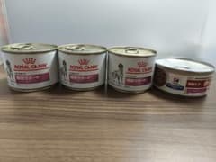 ロイヤルカナン 腎臓サポート3缶、ヒルズ 腎臓ケア ビーフ＆野菜入り