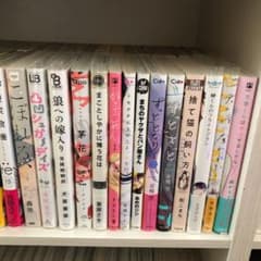 BL漫画　10巻セットのサムネイル