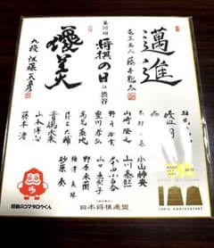 m43933256568_1.jpg?1745140630