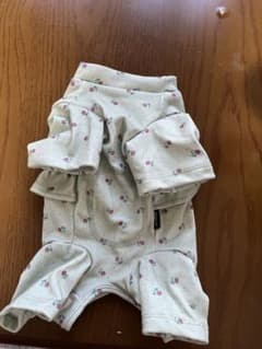 犬用術後服のサムネイル