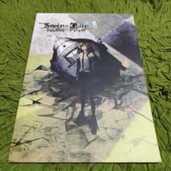 극장판 Steins; Gate (슈타인즈 게이트) 부하 영역의 디자브 팜프