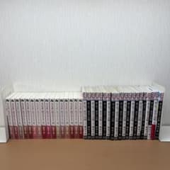 天は赤い河のほとり・夢の雫、黄金の鳥籠 全巻セット - メルカリ