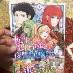 転生した悪役令嬢は復讐を望まないTHE COMIC 1のサムネイル