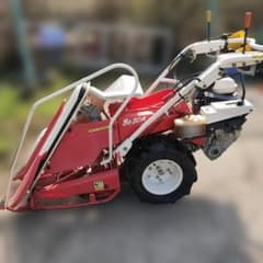 m43938893084_1.jpg?1773651801