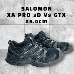 ✨美品✨SALOMON XA PRO 3D 25.0cmのサムネイル