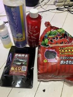 シュリンプ飼育セット＋水草　5種類のサムネイル