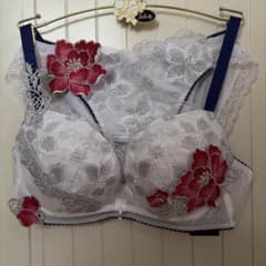 Wacoal Salute ブラジャー ショーツ セット E75L - メルカリ