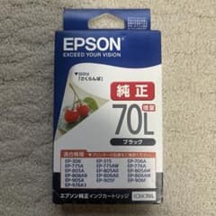 EPSON ICBK70Lのサムネイル