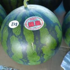 青森県産朝採りスイカ　羅皇のサムネイル