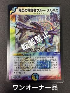 ワンオーナー品】陽炎の守護者ブルーメルキス 初期 - メルカリ