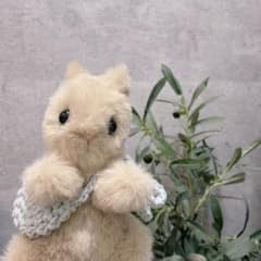 リス（ゲリラ出品）のサムネイル
