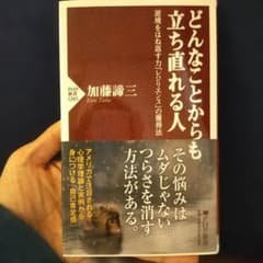 どんなことからも立ち直れる人 逆境をはね返す力「レジリエンス」の獲得法のサムネイル