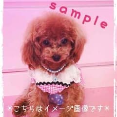 売り切れ。ドッグアクセサリー♡ネックレス 首輪のサムネイル