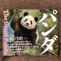 パンダのサムネイル