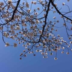 mameさん専用出品♡のサムネイル
