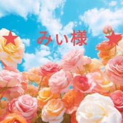☆みぃ様・オーダーページ☆】 - メルカリ