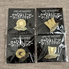 OWV STRANGE ツアー ピンバッジ セット