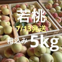 5.最終SALE 若桃 摘果桃 加工 桃 山梨県産 箱込み5kg - メルカリ