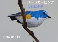 バードカービング”ルリビタキ(瑠璃鶲） S.No.:B1011 - メルカリ
