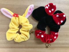 ミニー.ミスバニーシュシュのサムネイル