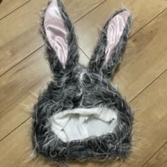 うさぎ 被り物のサムネイル