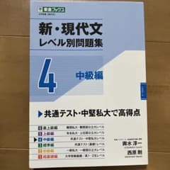 新・現代文レベル別問題集④ 中級編のサムネイル