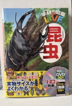 学研の図鑑LIVE 昆虫 DVD付きのサムネイル