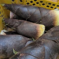 【タイムセール】京都やましろ産 たけのこ 朝採れ 6~7キロのサムネイル