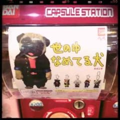 ★世の中なめてる犬 ★コーギーのサムネイル