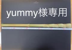 ④布袋竹  54.2cm  オリジナル火吹き棒　アウトドアのサムネイル
