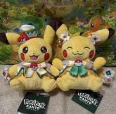 新品 ポケパーク カントー ショップ 限定 ピカチュウ ぬいぐるみ2種類
