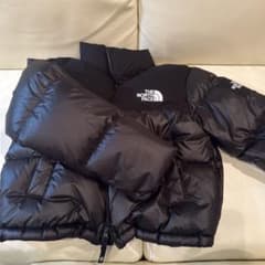 THE NORTH FACE エコダウン ショート丈ブラック S/85のサムネイル