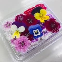 無農薬エディブルフラワー20輪のサムネイル