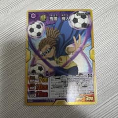 이나즈마 일레븐 GO TCG 귀도 유인