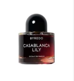 BYREDO CASABLANCA LILY 엑스트라드 퍼퓸