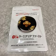 ビタブリッドジャパン ターミナリアファースト 120粒のサムネイル