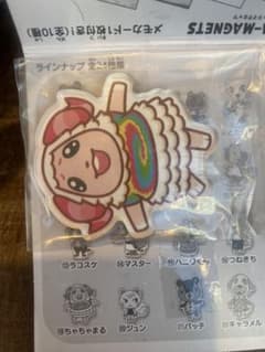あつまれ どうぶつの森 キャラマグネッツ ちゃちゃまるのサムネイル