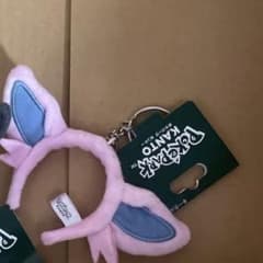 ポケモン ポケパークカントー ブラッキー エーフィ カチューシャ