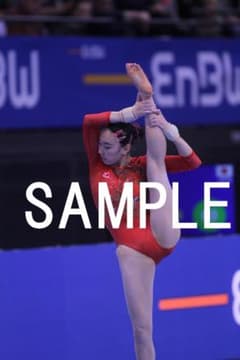 2018年DTBチーム体操 日本女子選手画像集 約9,200枚 - メルカリ