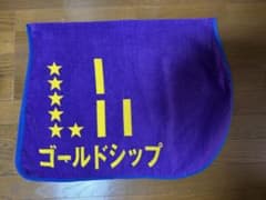 トレーニングゼッケン バスタオル ゴールドシップ プライズ品